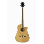 Eko Nxt Bass D CW EQ - Natural