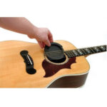 Planet Waves Screeching Halt - Tappo per buca