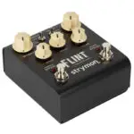 Strymon Flint