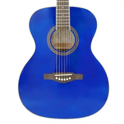 Eko NXT A100 - See Through Blue