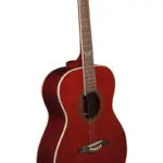 Eko NXT A100 - See Through Red