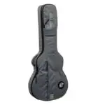 Ritter Carouge - Custodia per Hollowbody