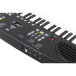 Eko Keyboards Okey 49 Bundle