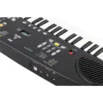 Eko Keyboards Okey 49 Bundle