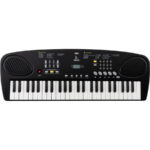 Eko Keyboards Okey 49 Bundle