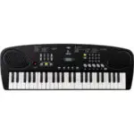 Eko Keyboards Okey 49 Bundle