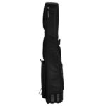 Ritter Arosa Chitarra Folk/Auditorium