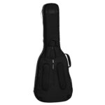 Ritter Arosa Chitarra Folk/Auditorium