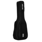 Ritter Arosa Chitarra Folk/Auditorium