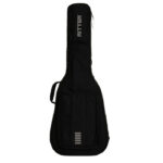 Ritter Arosa Chitarra Folk/Auditorium