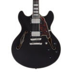 D'Angelico Premier DC 2024 - Black Flake