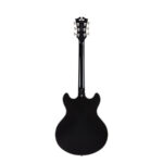 D'Angelico Premier DC 2024 - Black Flake